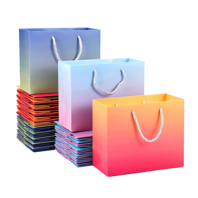 L'effet d'hologramme a imprimé des sacs de transporteur de papier avec la poignée Pantone de ruban