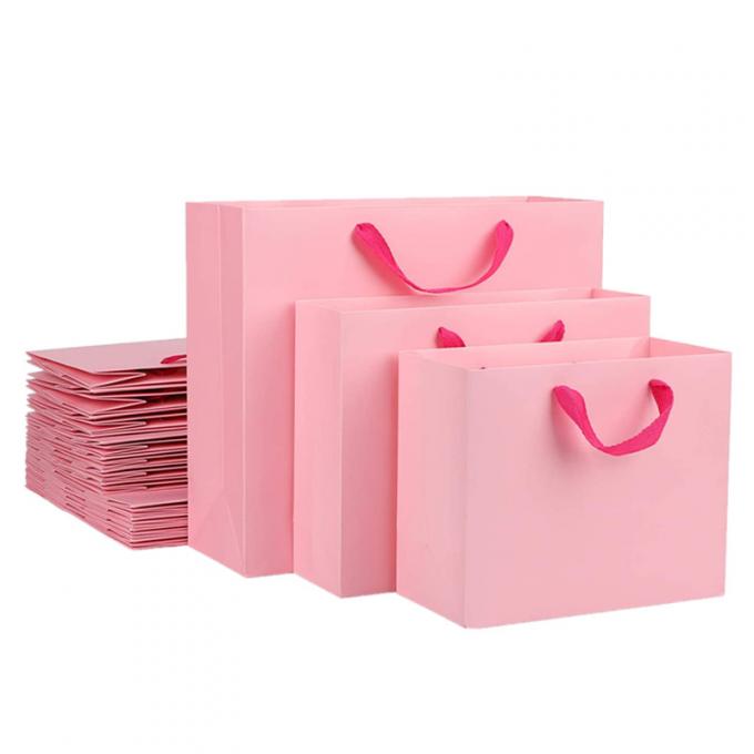 L'effet d'hologramme a imprimé des sacs de transporteur de papier avec la poignée Pantone de ruban 1